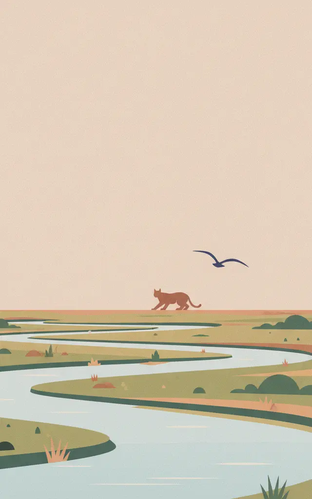 Doñana National Park — illustrated travel poster